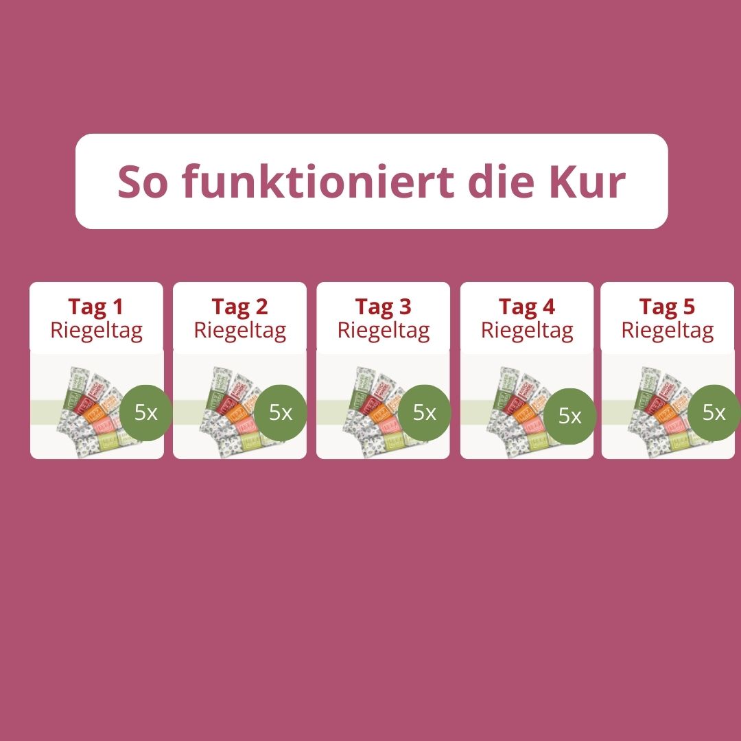 New Year Starter Set - Basic