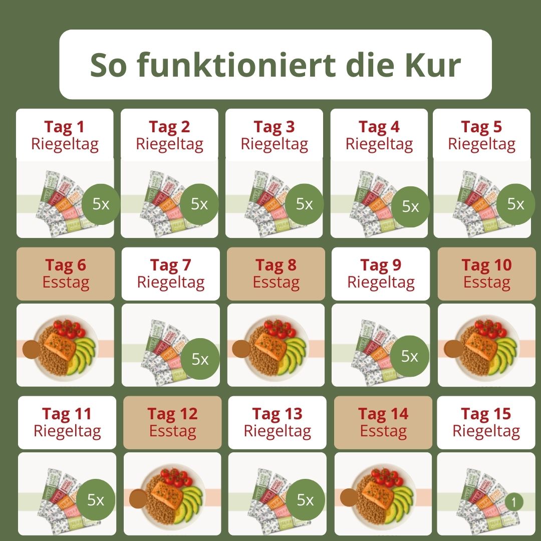 New Year Starter Set - DELUXE